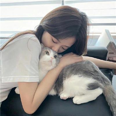 柳生一族的阴谋